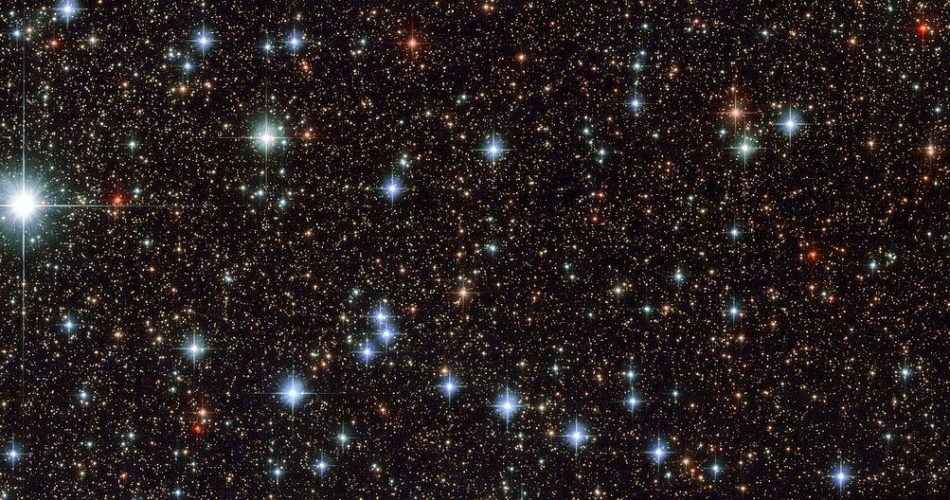 Stelle