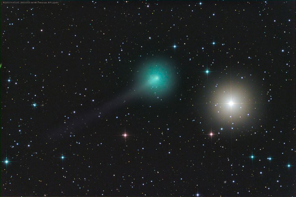 Cometa Atlas y4