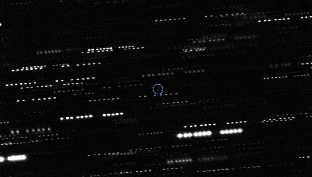 Osservazione di Oumuamua