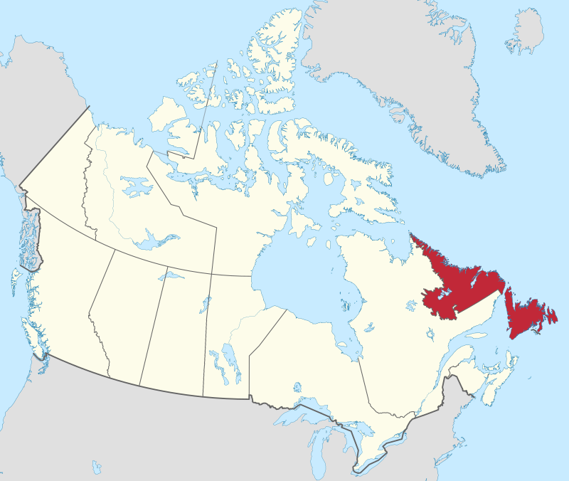 Terranova e Labrador, batteri