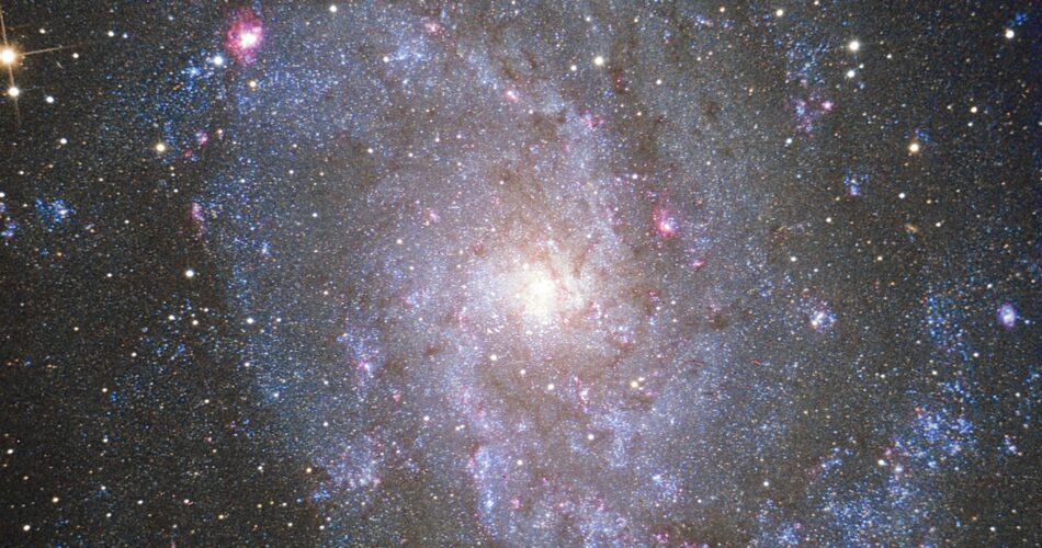Milioni di stelle nella galassia del triangolo M33, fotografate con una strumentazione amatoriale. Una foto di questo tipo, tanto facile ora, rivela oggetti e proprietà dell'Universo che oltre il 90% di tutti gli esseri umani vissuti fino a questo momento non ha nemmeno potuto immaginare