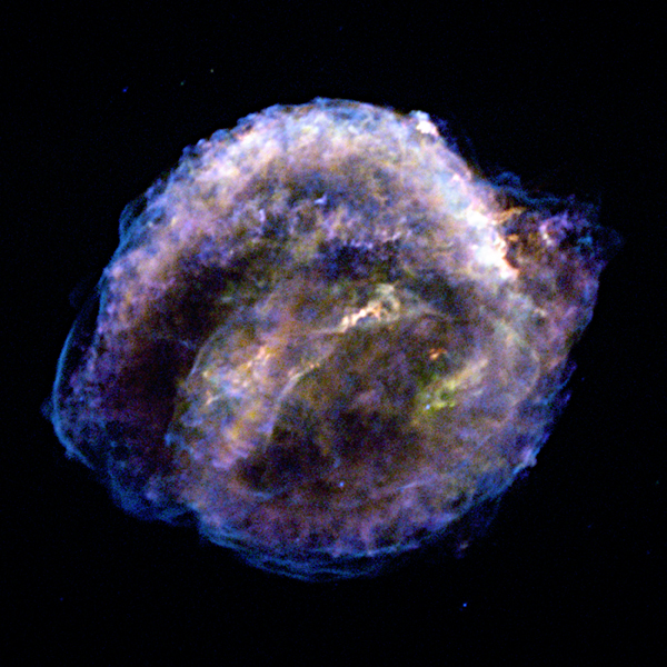 supernova keplero
