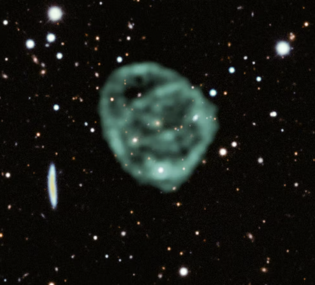 L'immagine MeerKAT (verde/grigio) dello strano cerchio radio ORC1 sovrapposta a un'immagine ottica del Dark Energy Survey