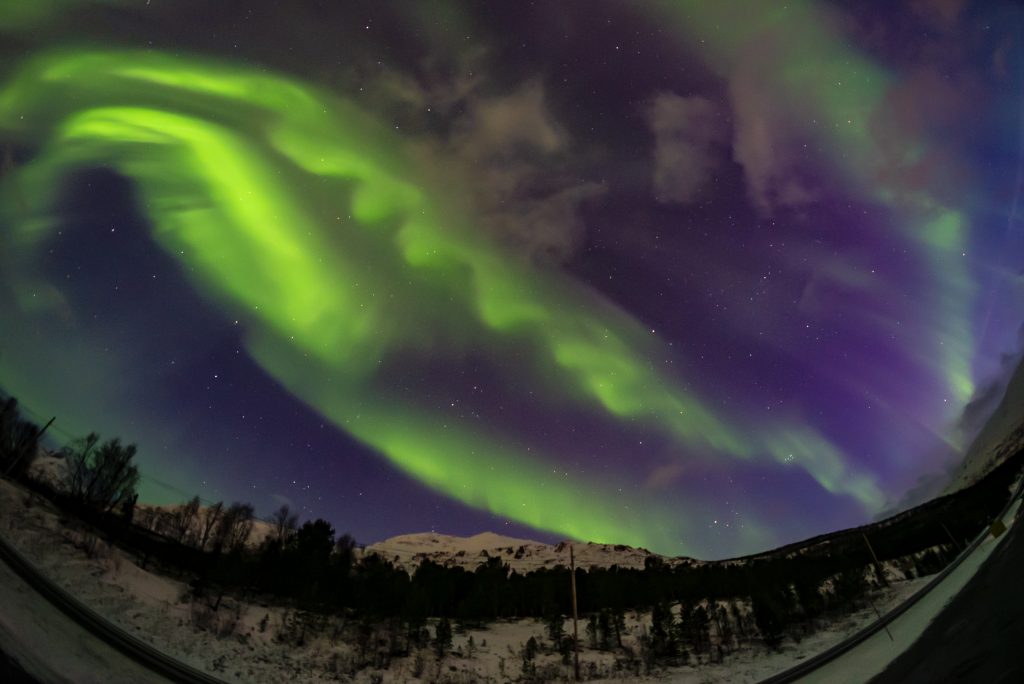 viaggio in norvegia aurora boreale