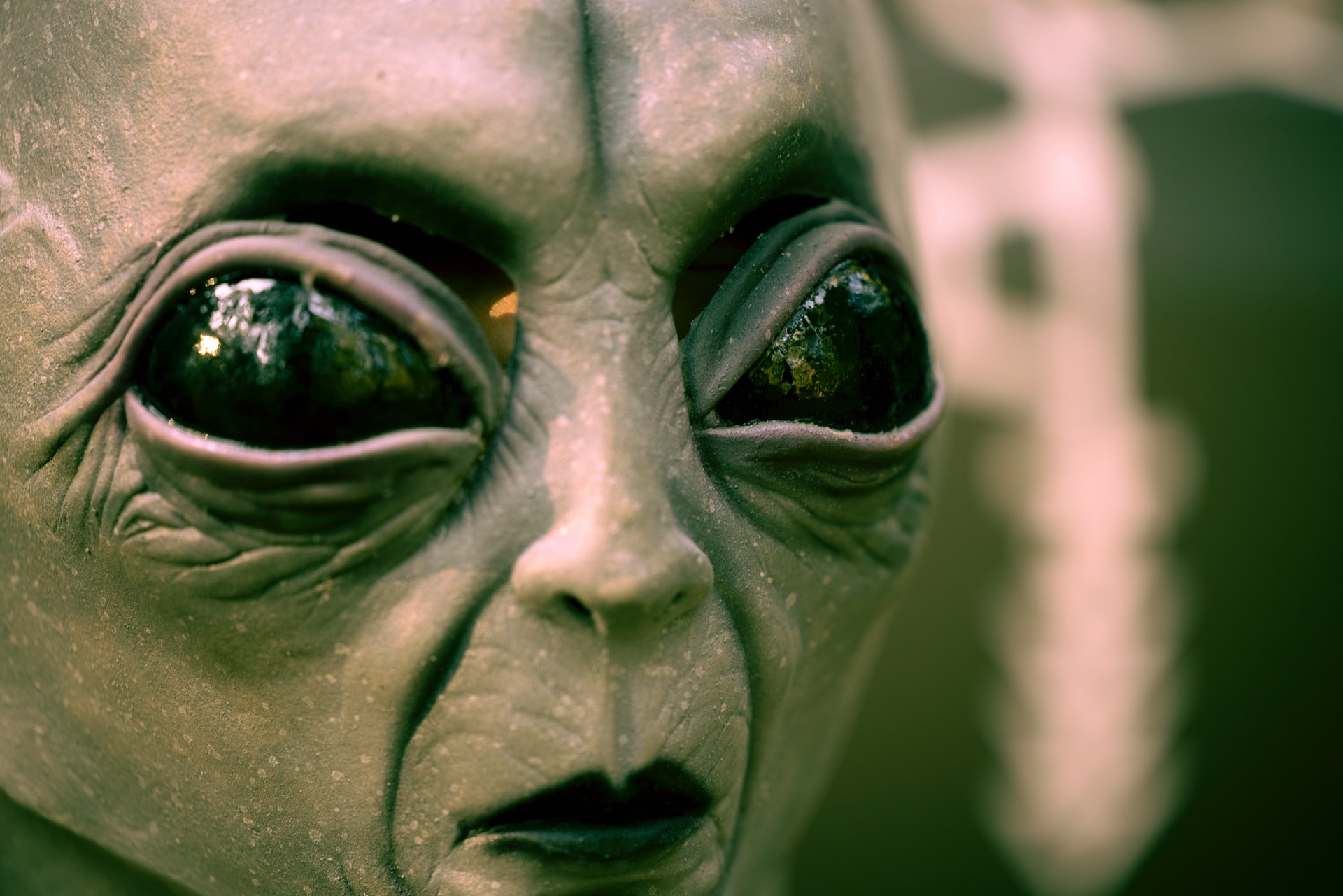 Gli alieni esistono? L'inquietante teoria della foresta oscura