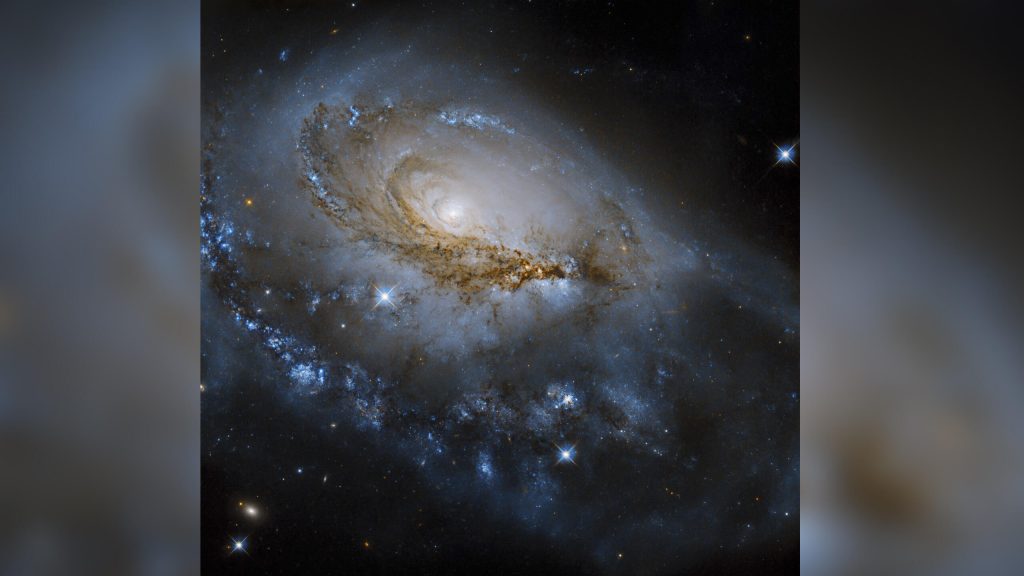 hubble NGC 1961