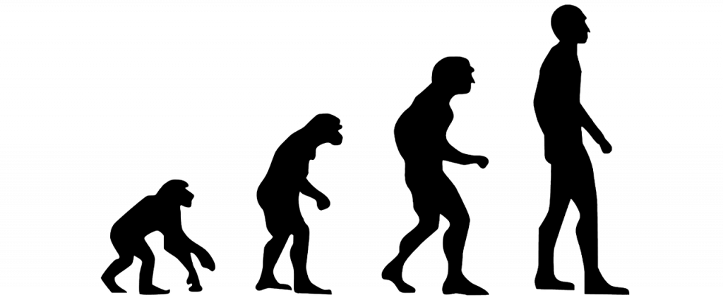 L'evoluzione sulla Terra