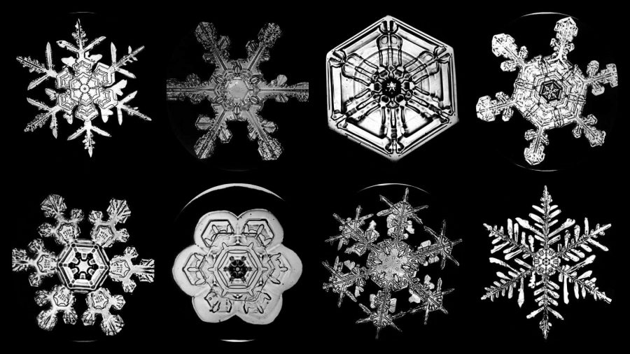 I cristalli di ghiaccio ripresi da Wilson Bentley