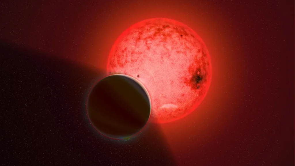 Rappresentazione artistica dell'esopianeta in orbita attorno a una piccola stella nana rossa chiamata TOI-5205