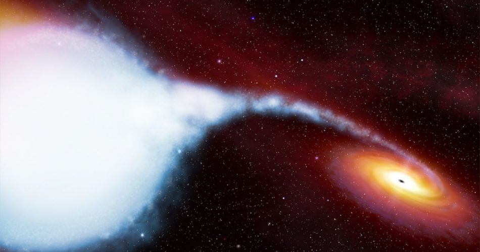 Rappresentazione artistica di Cygnus X-1 che fa a pezzi una stella.