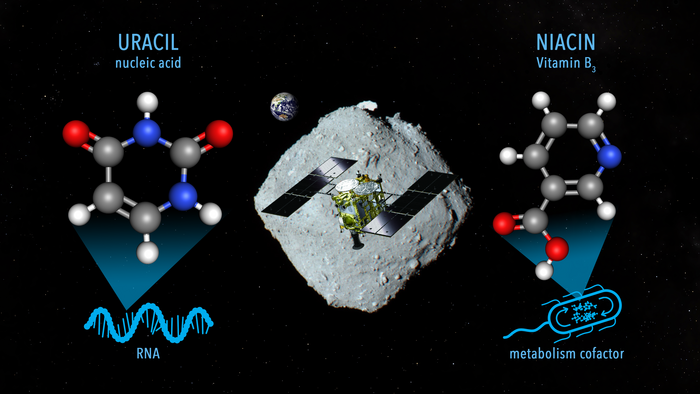 Rapprsentazione artistica del campionamento di materiali sull'asteroide Ryugu da parte della sonda spaziale Hayabusa2 affiancata dalla molecola dell'uracile a sinistra e da quella della niacina, meglio nota come vitamina B3, a destra. Crediti: NASA Goddard/JAXA/Dan Gallagher.