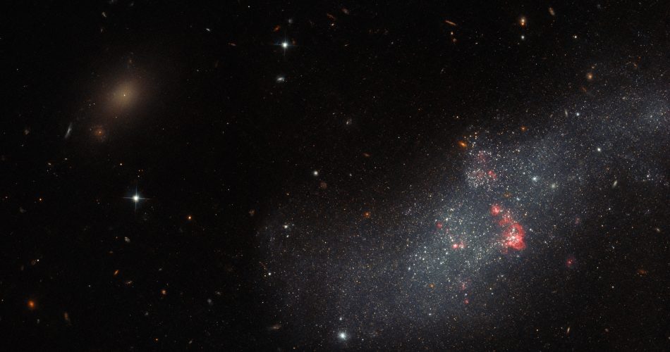 La galassia nana UGCA 307 vista da Hubble. Credit: ESA/Hubble & NASA, R. Tully.