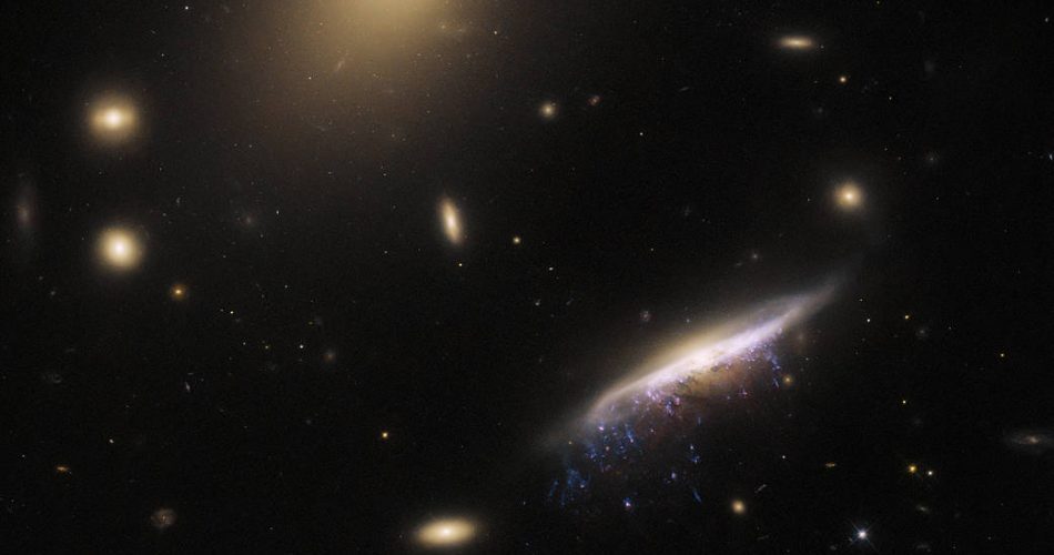 Credit: ESA/Hubble & NASA, M. Gullieuszik and the GASP team.