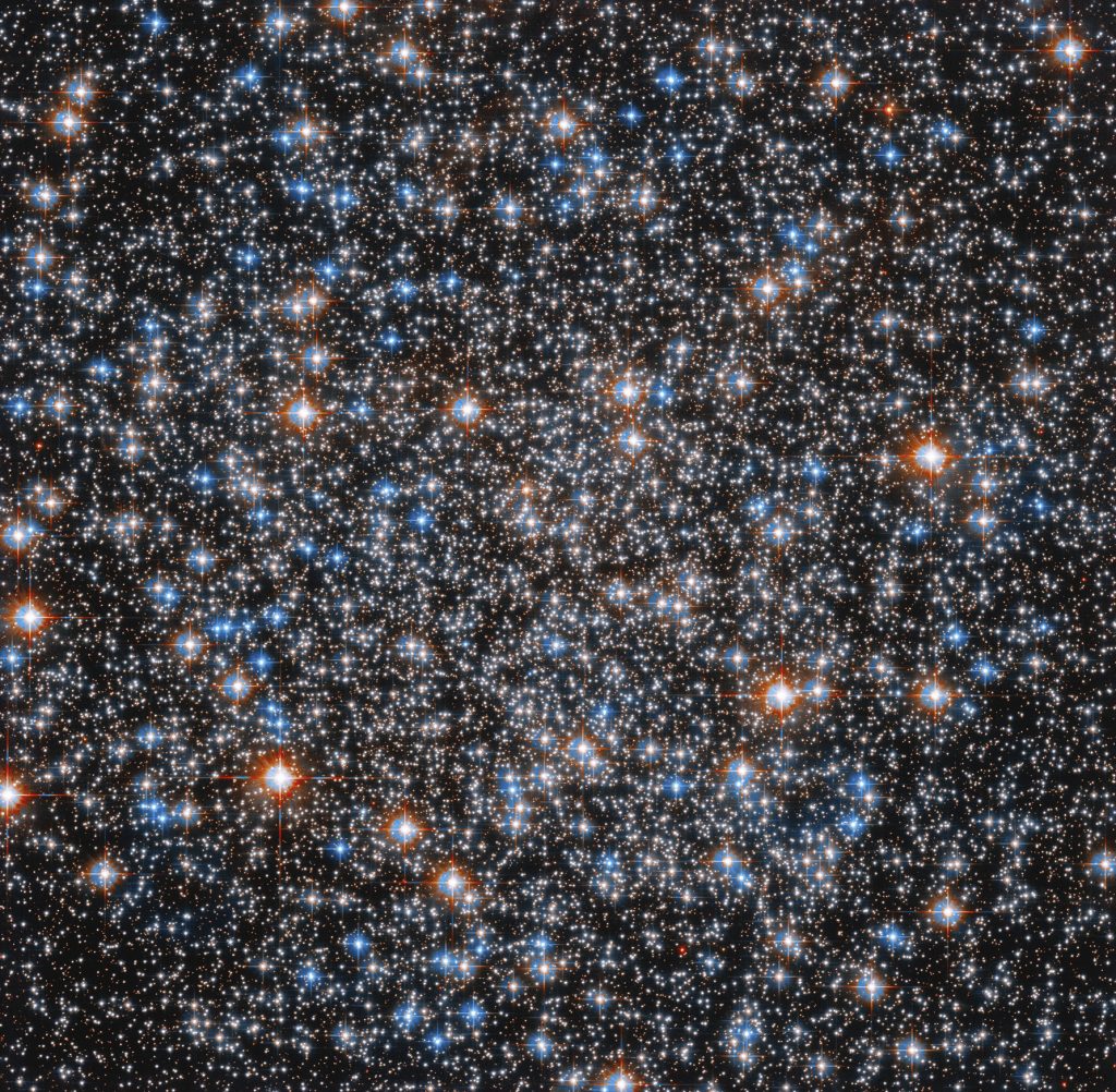 Stelle di M55