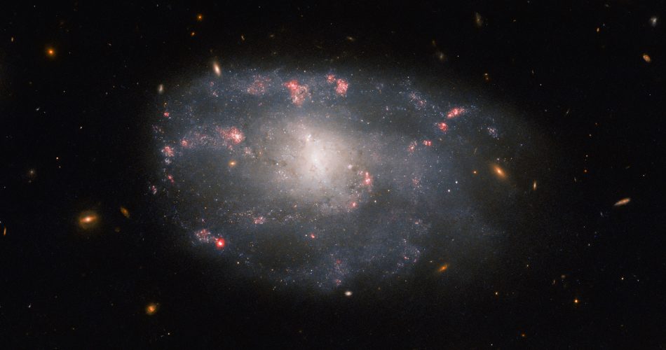 La galassia NGC 5486 come vista dal telescopio spaziale Hubble della NASA/ESA. Credit: ESA/Hubble & NASA, C. Kilpatrick.