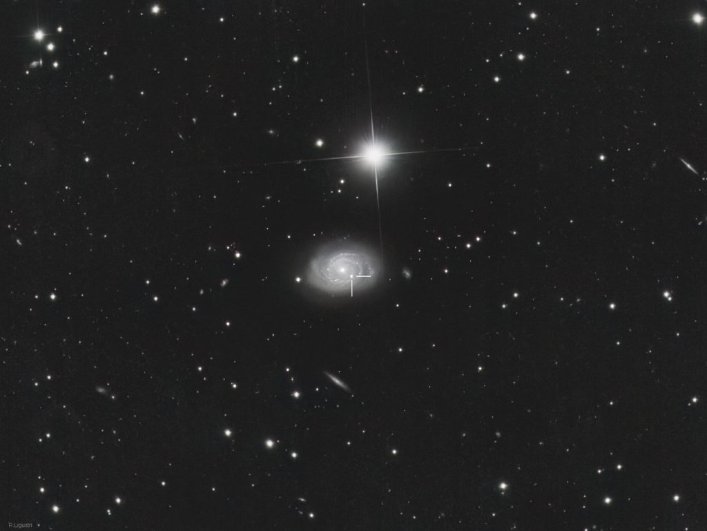Supernova in NGC 4995