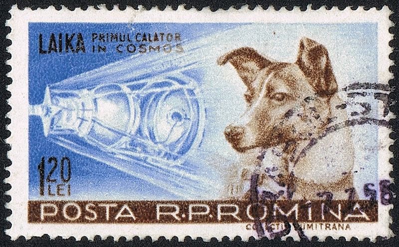 Un francobollo rumeno del 1959 che raffigura Laika