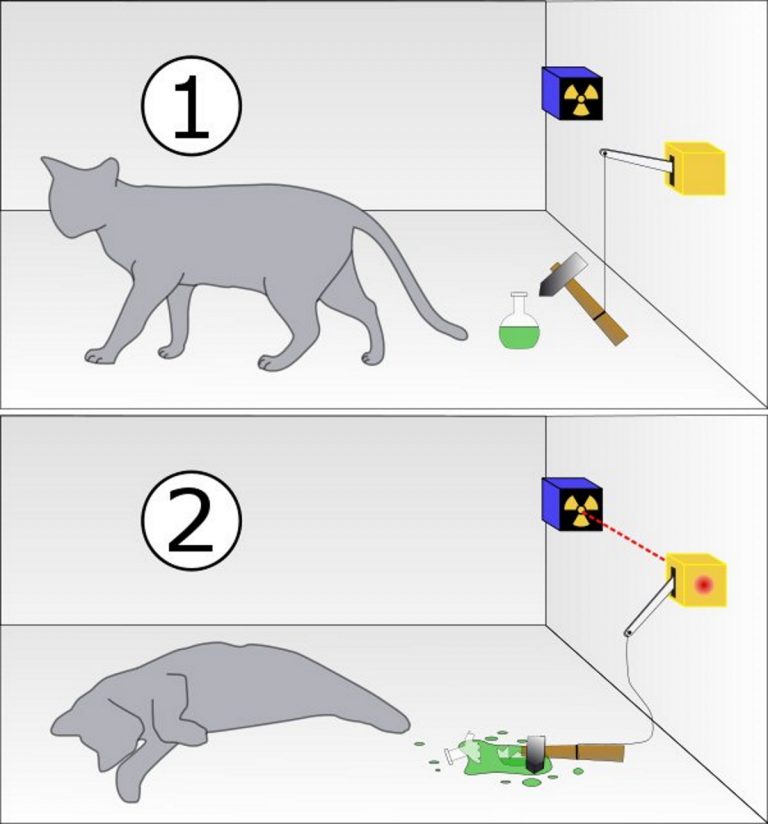 Nel primo caso il gatto vive, nel secondo muore soffocato dal gas.