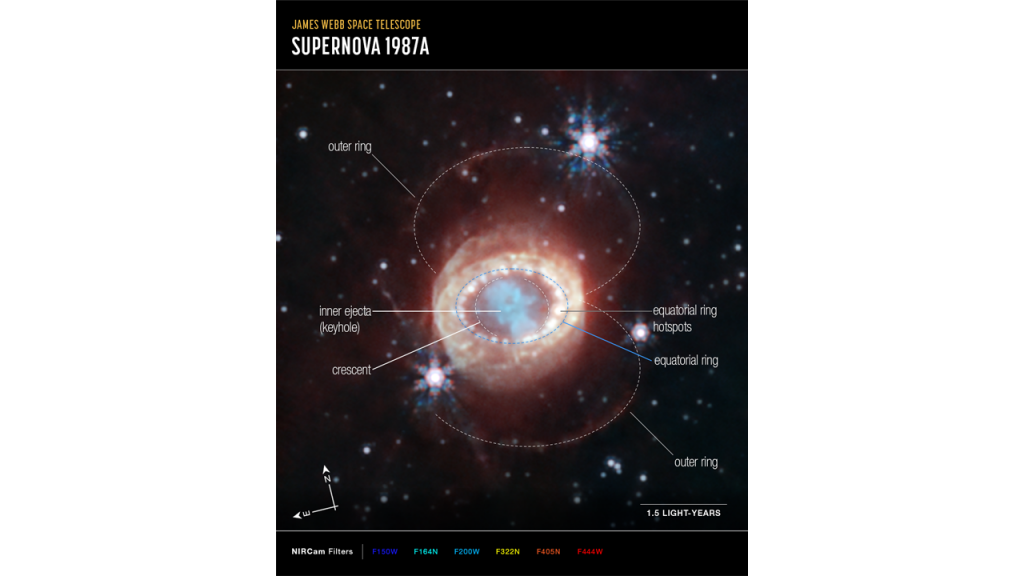 James Webb supernova