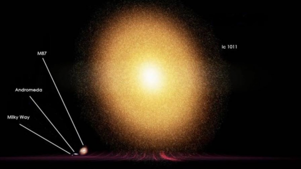 Monstrous proportions: Here’s a video of IC 1101, the largest known galaxy
