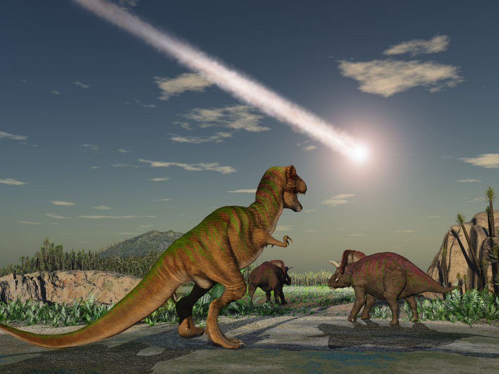 Dinosaurs, a new discovery from scientists: that’s how long they became extinct