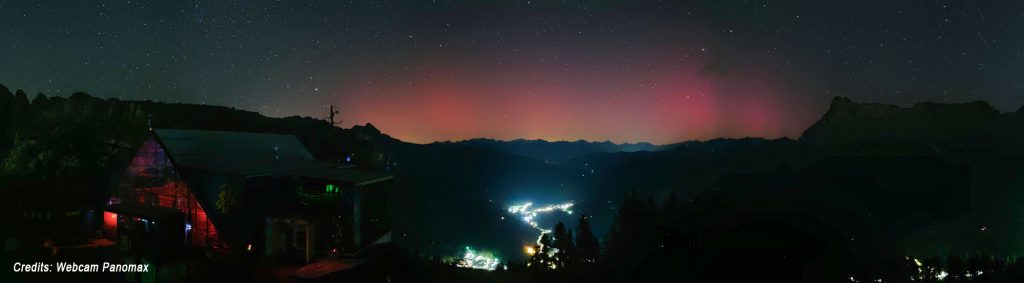Moritzino aurora