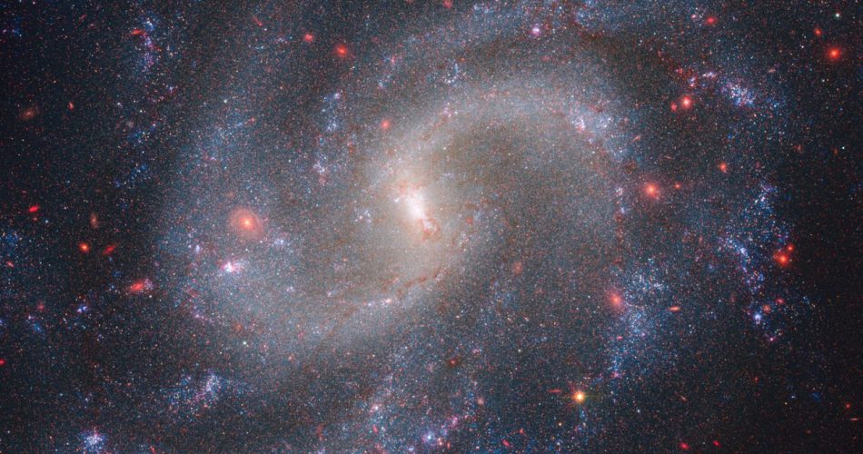 NGC 5584