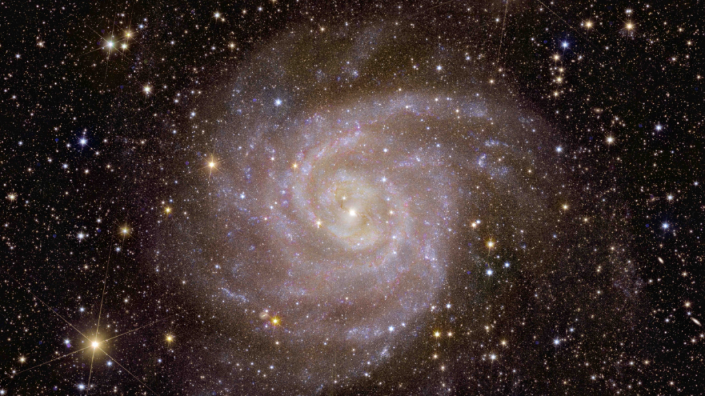 Euclid
