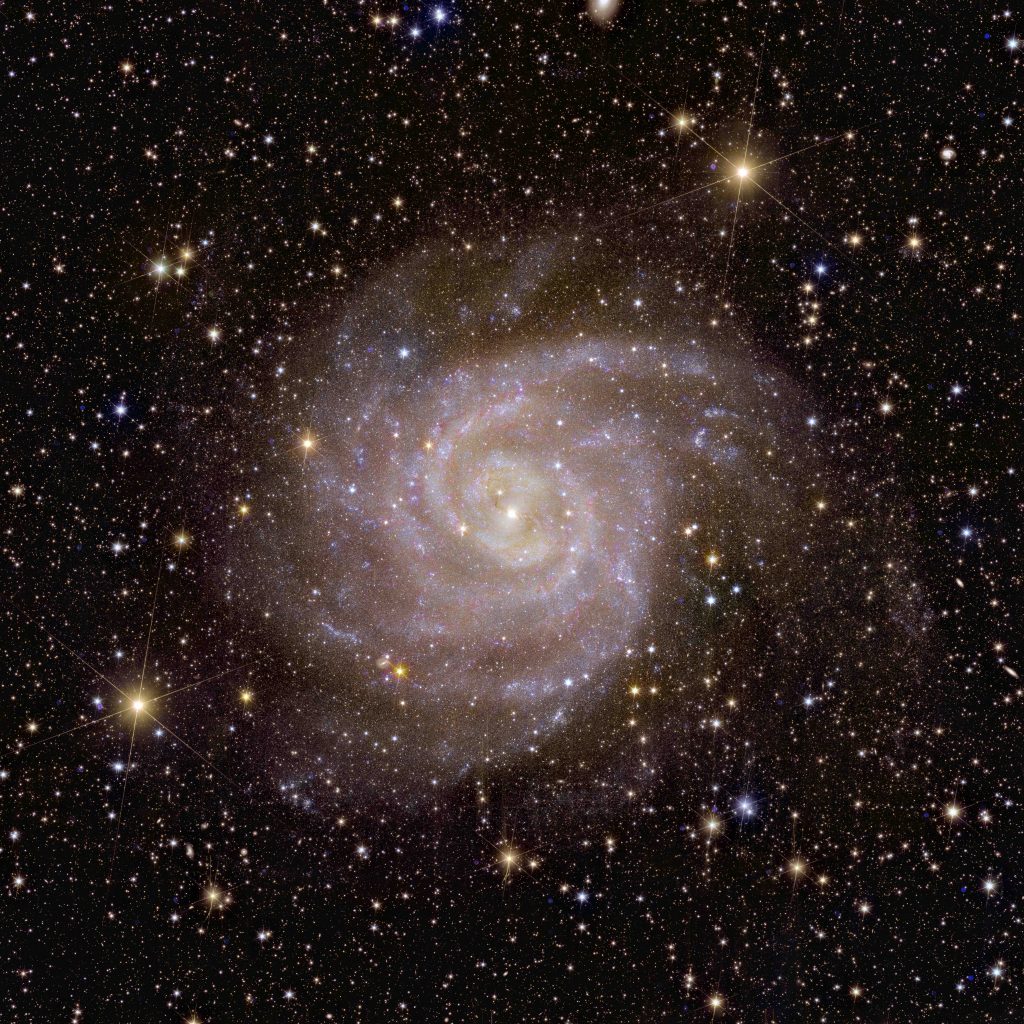 Galassia IC 342 Euclid