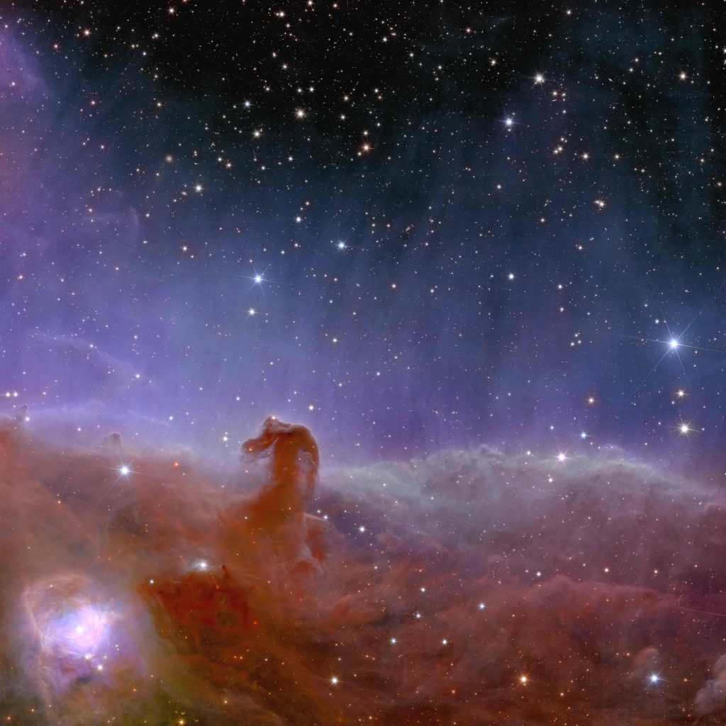 Nebulosa Testa di Cavallo, Euclid