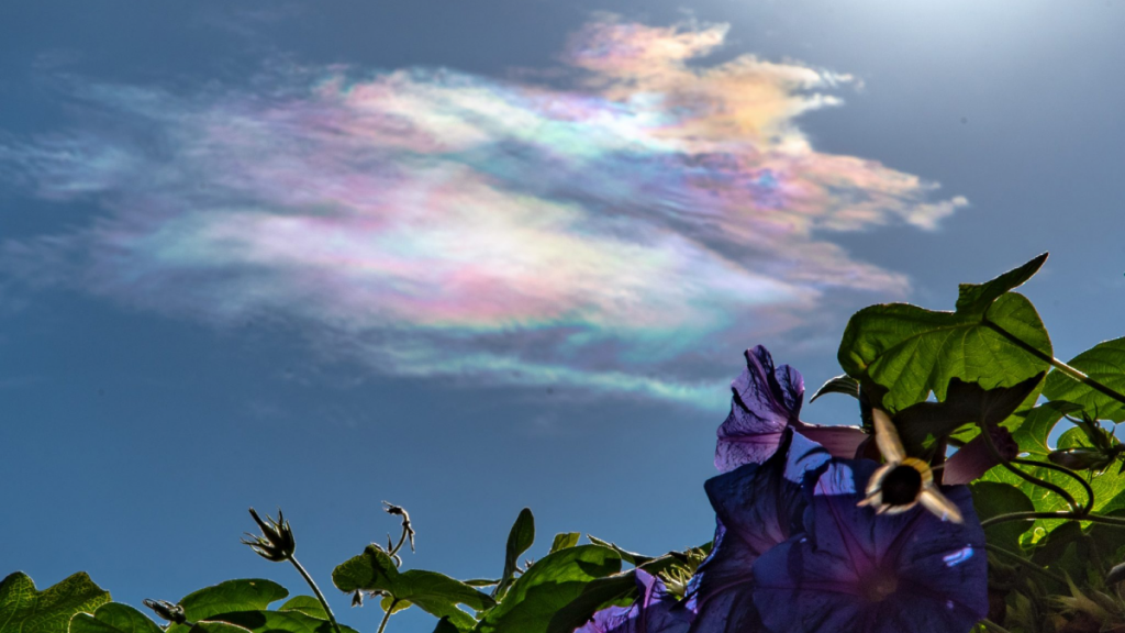 Nubi iridescenti