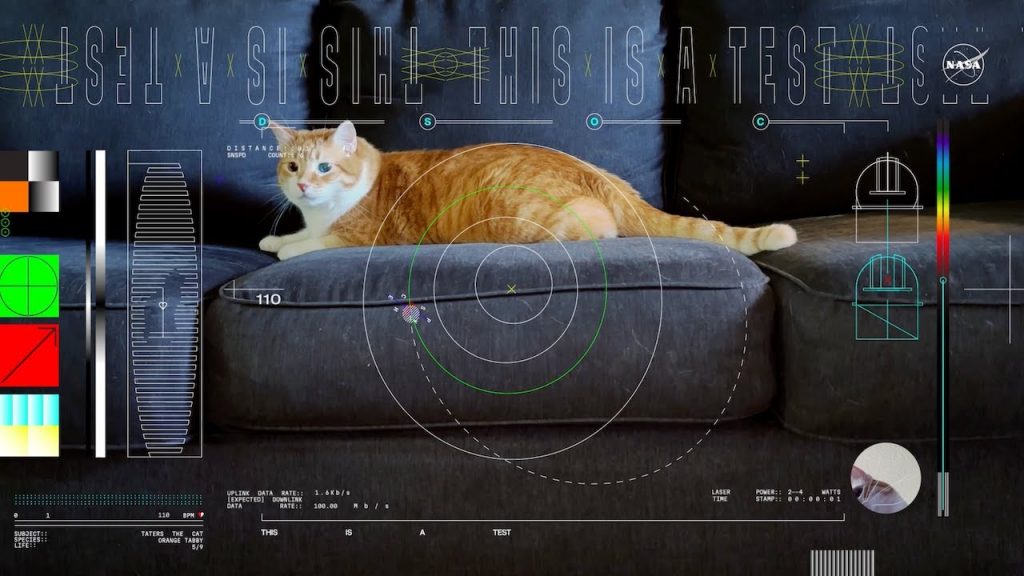 NASA: Video of a cat sent from deep space arriving on Earth.  Watch the video