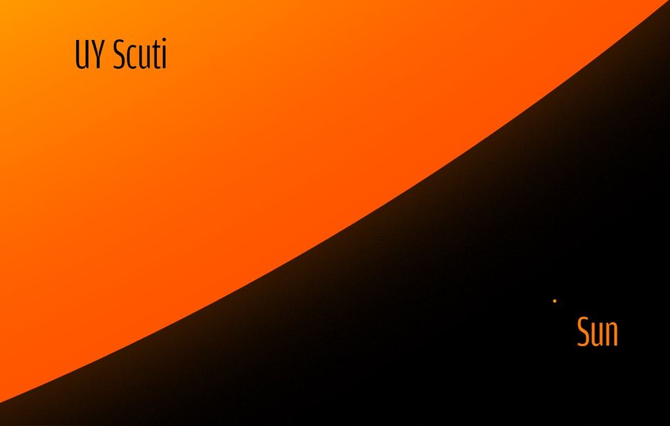 UY Scuti 