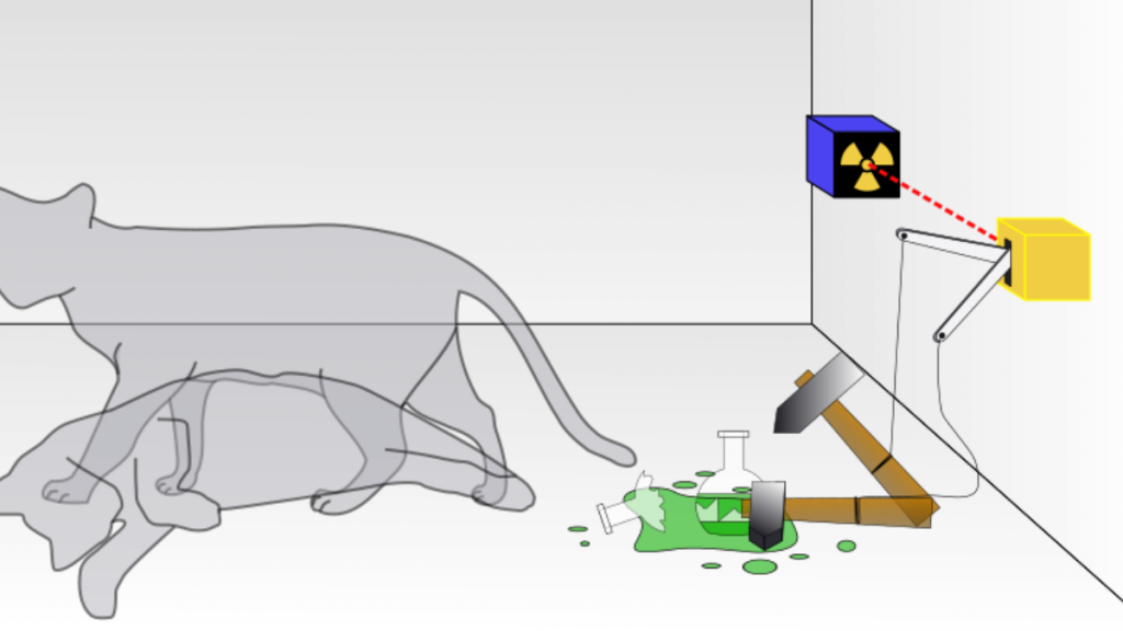 Il paradosso del gatto di Schrödinger