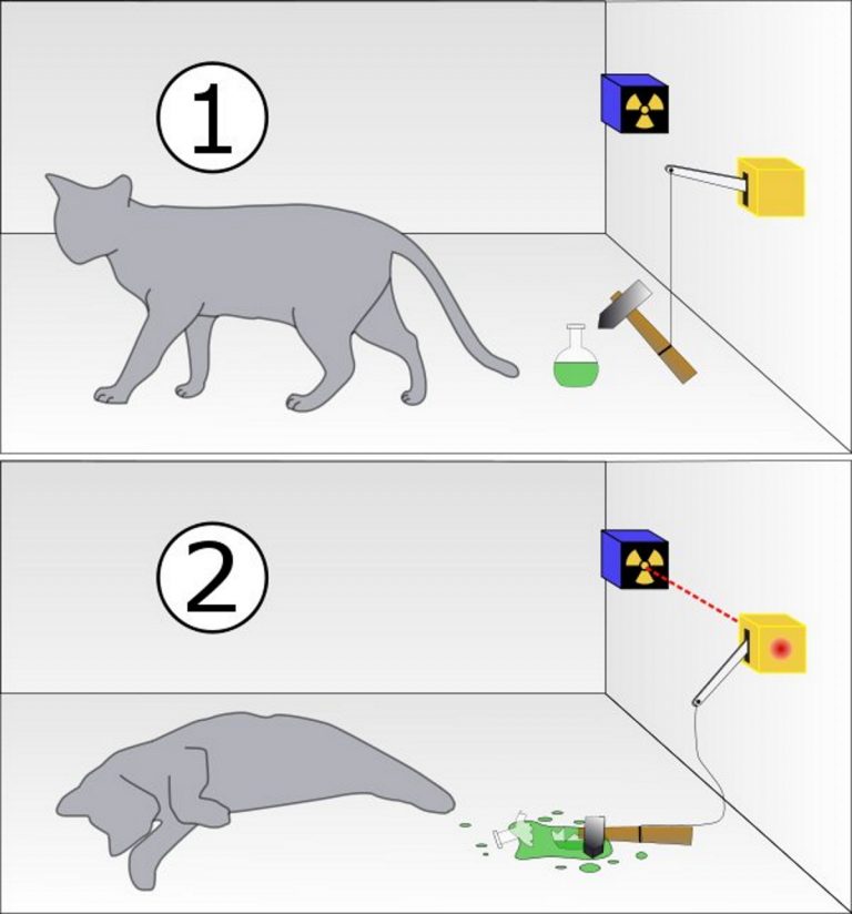 Il paradosso del gatto di Schrödinger