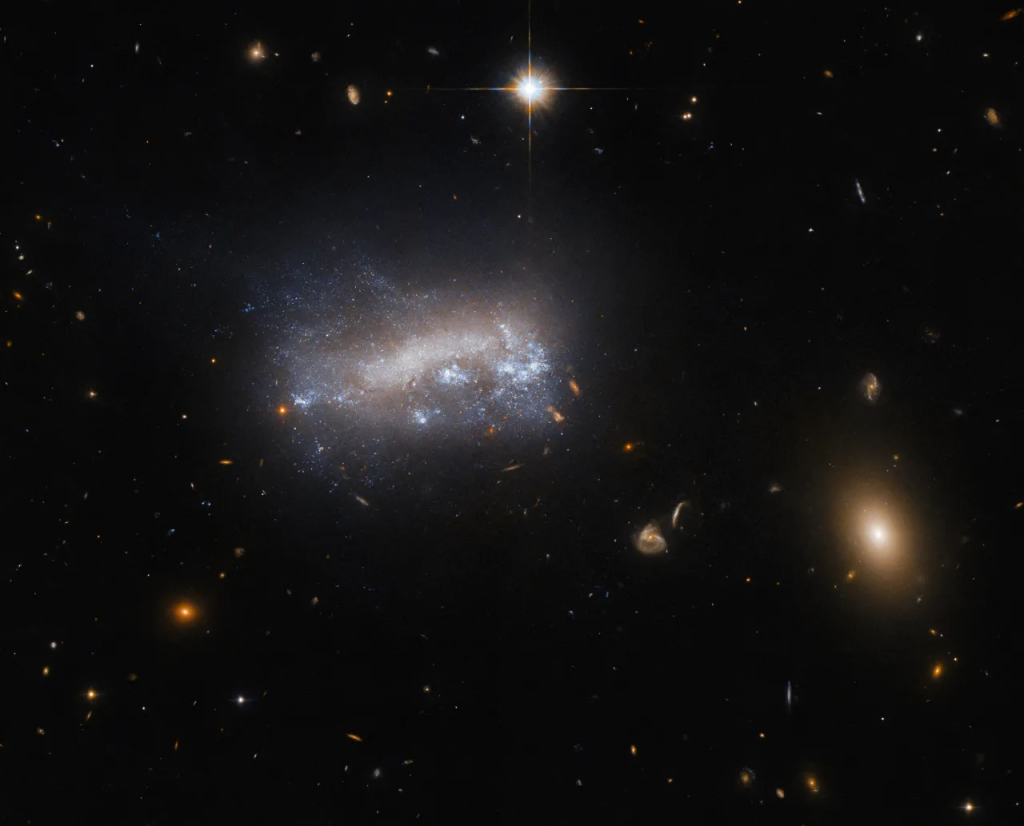 Galassia nana LEDA 42160