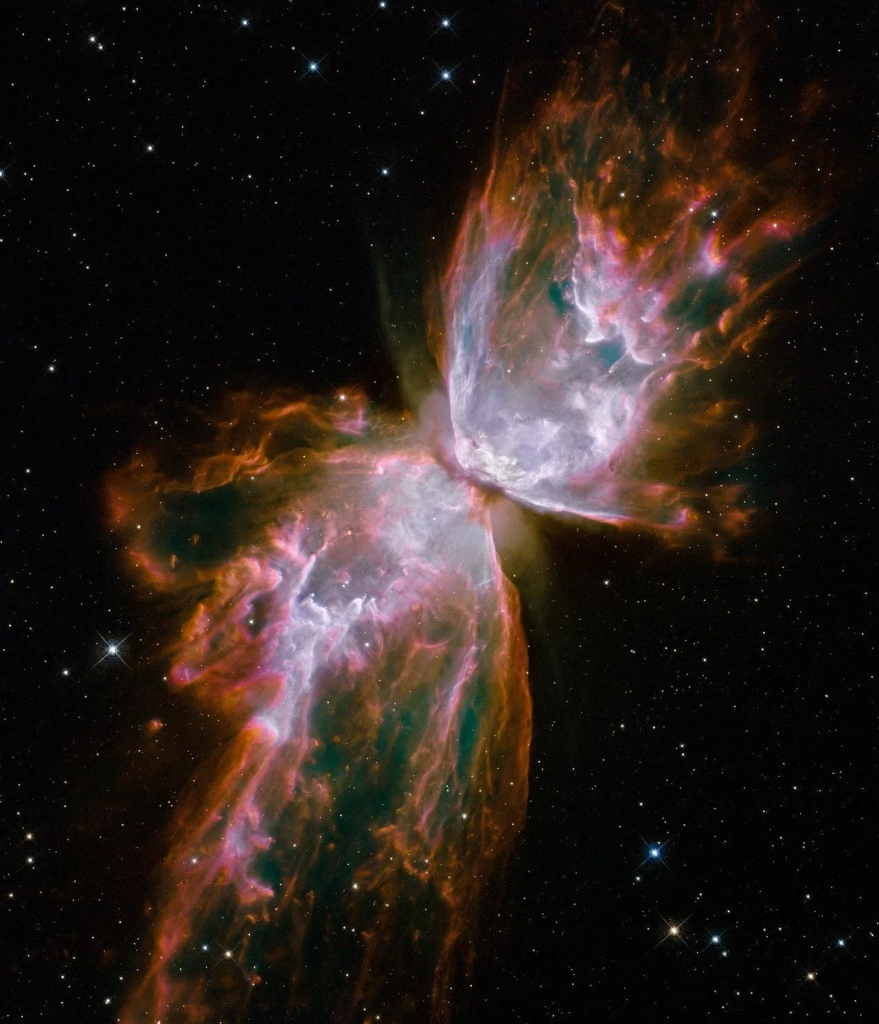 Bug Nebulosa, farfalla spaziale hubble