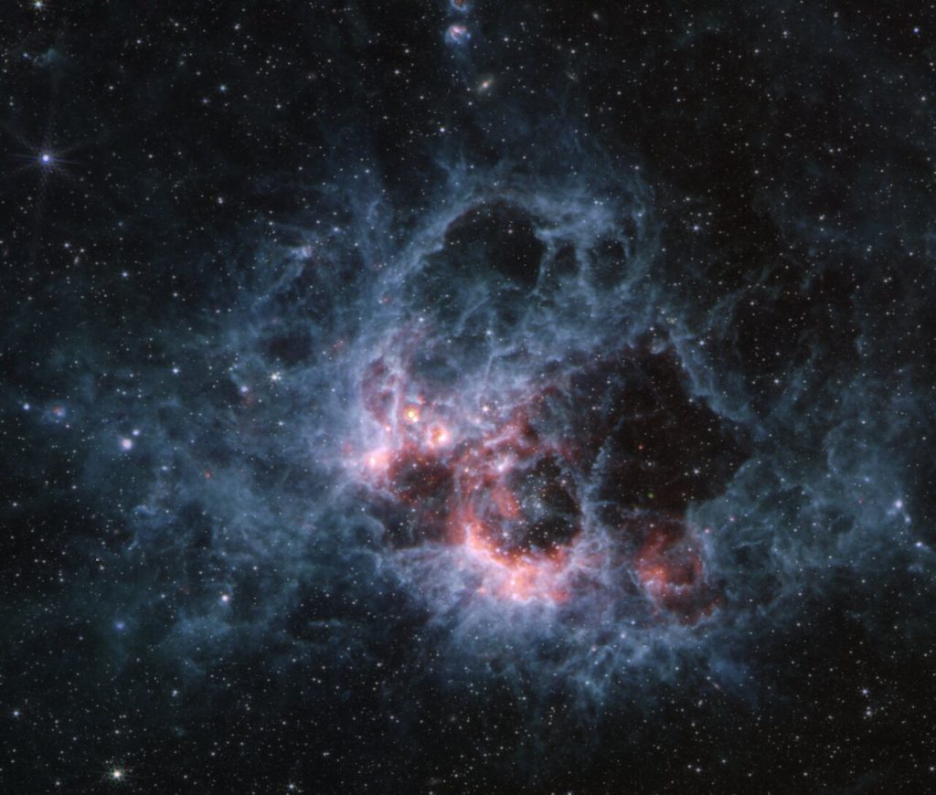 NGC 604 James Webb