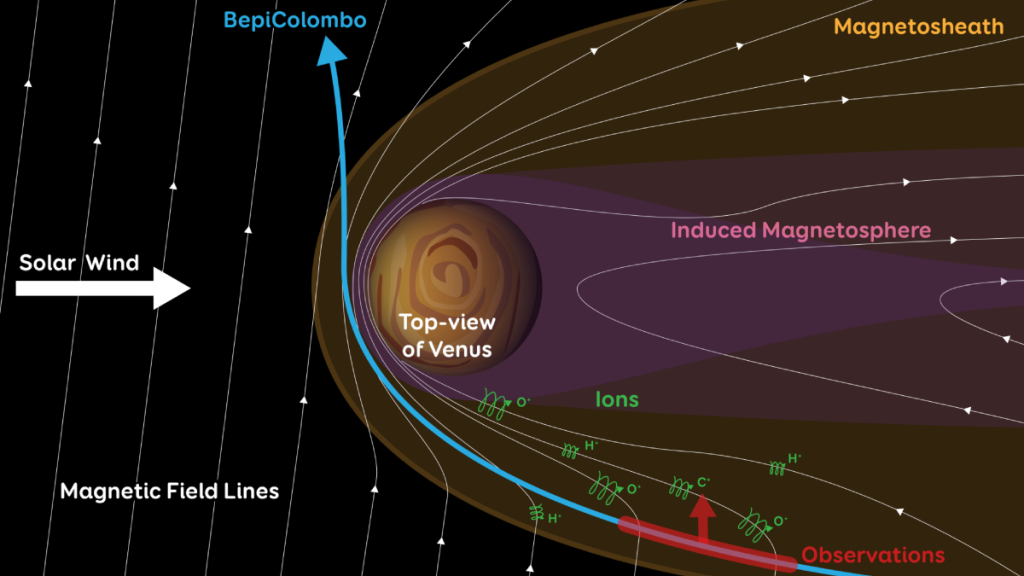 The escape of oxygen and carbon was observed on Venus