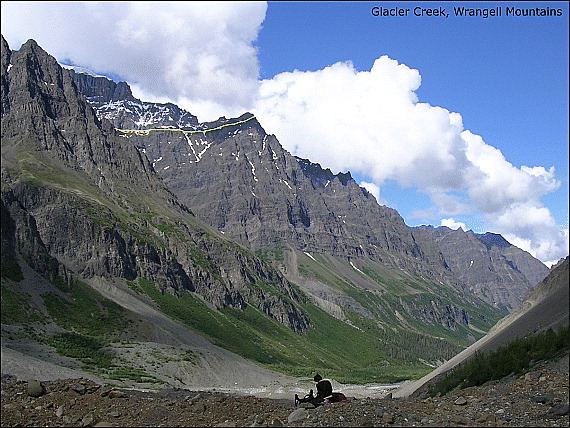 Estinzione sulla Terra