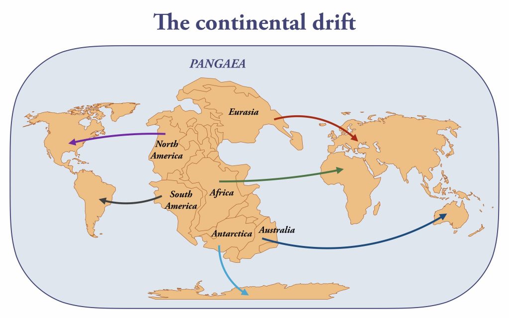 Continenti dinosauri