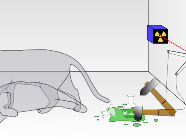 Gatto di Schrödinger