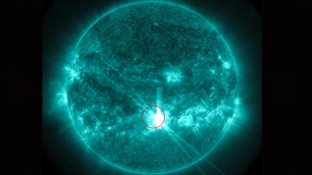 Sole flare