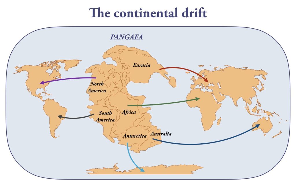Pangea ultima Terra caldo