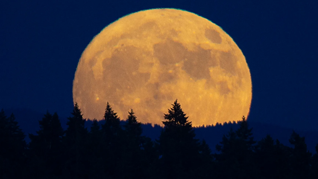 Luna piena