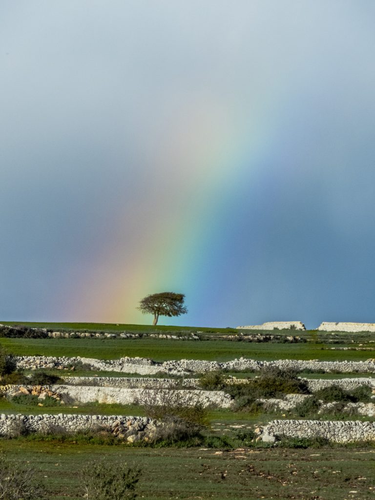 Arcobaleno