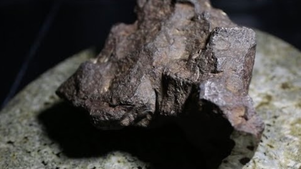 Meteorite