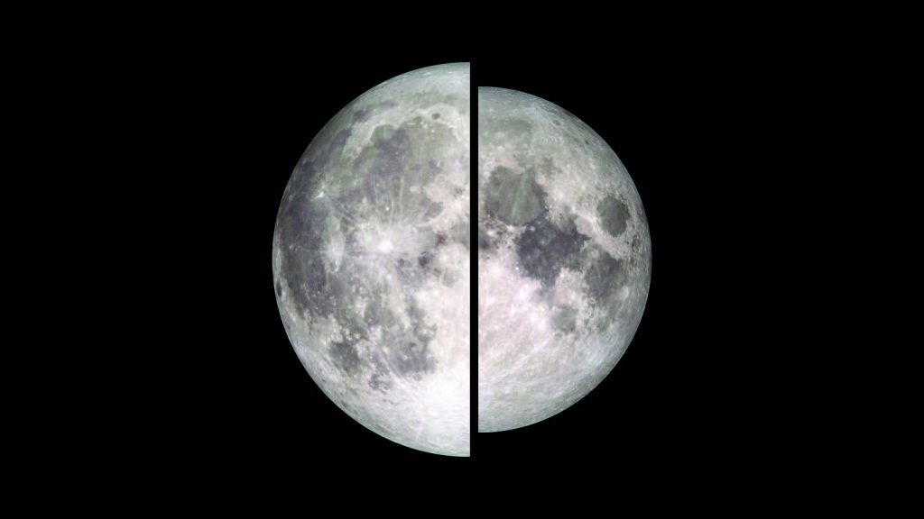 Microluna
