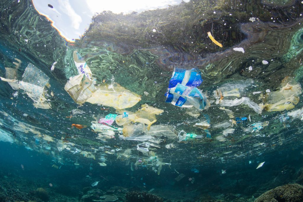 Plastica Pacifico