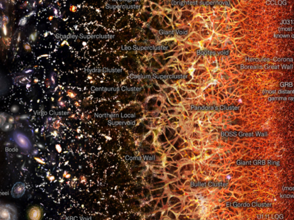Universo osservabile